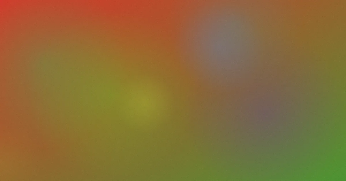 极速测评：避坑流程指南